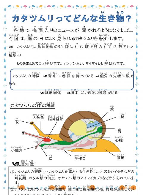 2019006いきもの