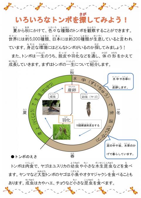 201908いきもの